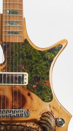 RC Kelly Turtle Electric Guitar (Art) (SKU: 31963) 31963