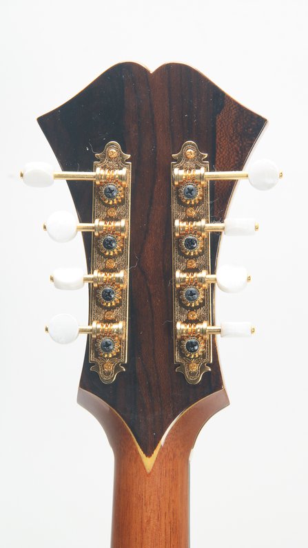 Herb Taylor Octave Mandolin (2017) #11