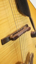 Roger Borys B120 Deluxe Archtop (2024) (SKU: 32615) 32615