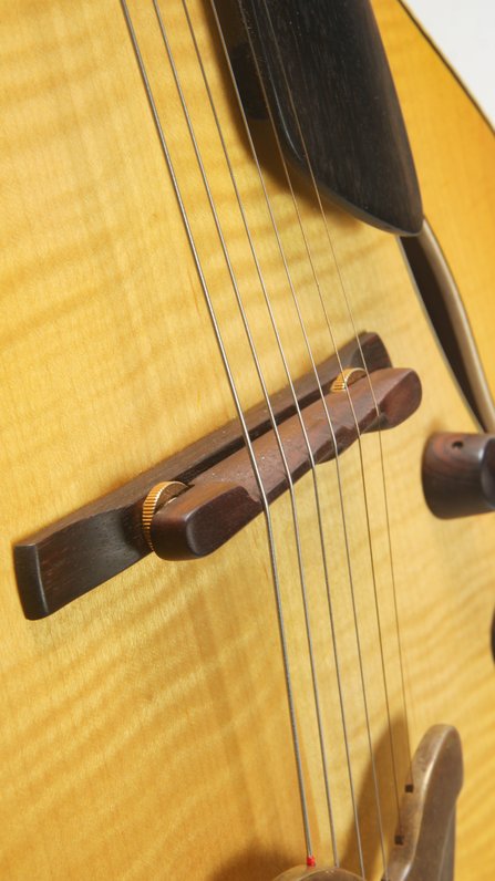Roger Borys B120 Deluxe Archtop (2024) #11