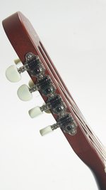 Godin Multiac Grand Concert 7 SA *Used (SKU: 31993) 31993