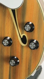 Fender Wildwood III Coronado II (1967) (SKU: 32728) 32728