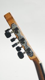 Cordoba Orchestra Pro CE SP/RW (2011) (SKU: 31929) 31929