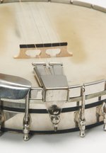 Vega Pete Seeger Longneck Custom (SKU: 32125) 32125