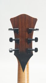 Steve Andersen Oval Hole Archtop (2001) (SKU: 32626) 32626