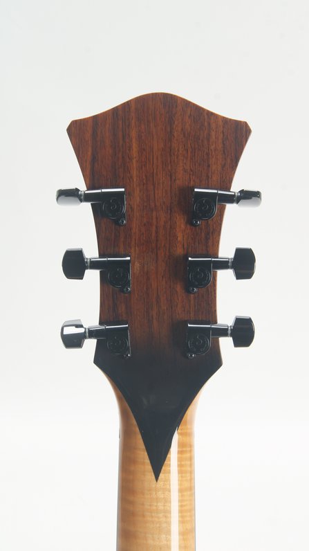 Steve Andersen Oval Hole Archtop w. Calton case (2001) #11