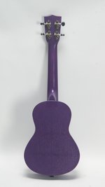 Kala  KA-MRT-PUR-C Meranti Watercolor Purple **used** (SKU: 32580) 32580