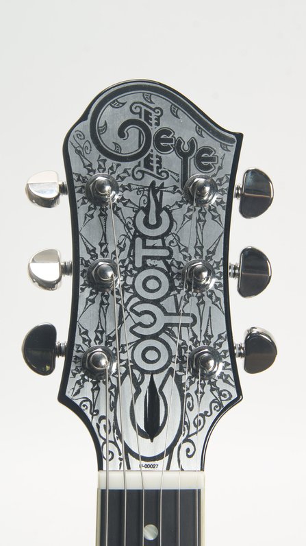 Teye Coyote (ca.2013) #11