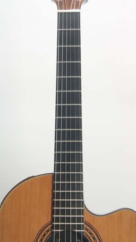 Gibson Chet Atkins Classic CE (2001) #11