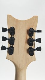 RC Kelly Go Koi Table Guitar (Art) (SKU: 31855) 31855