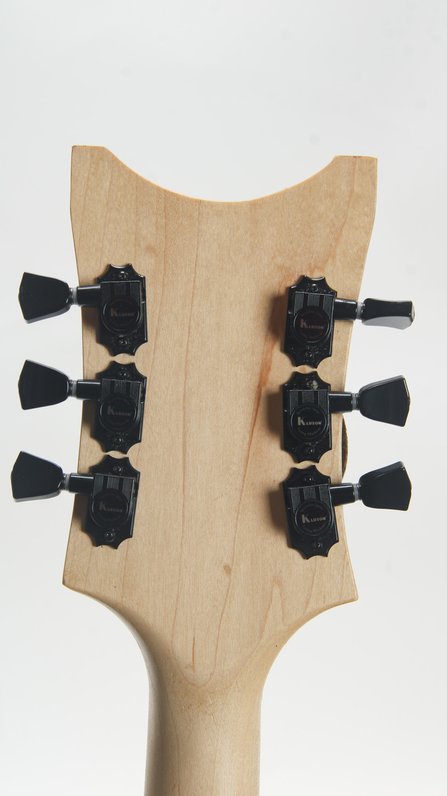 RC Kelly Go Koi Table Guitar (Art) #12