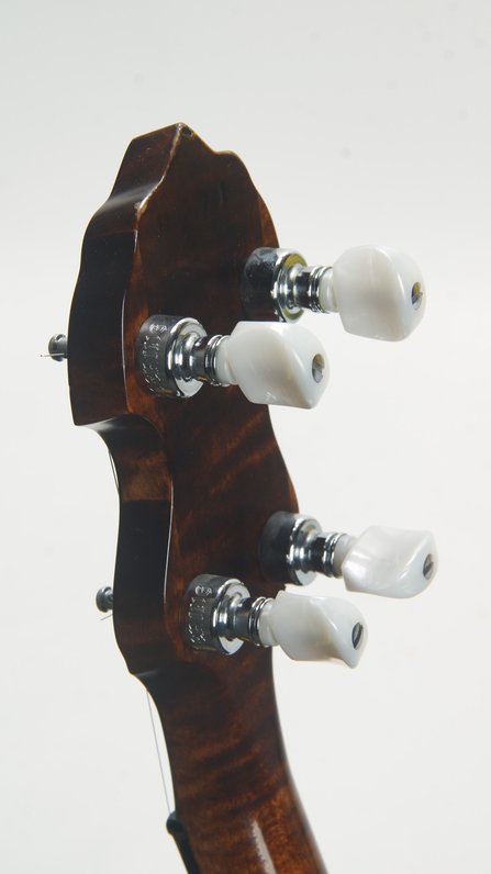 Deering Vega Senator (ca. 2006) #12