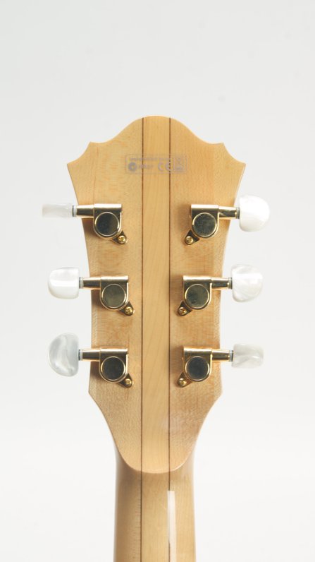 Ibanez AF105SM-EE (2009) #12