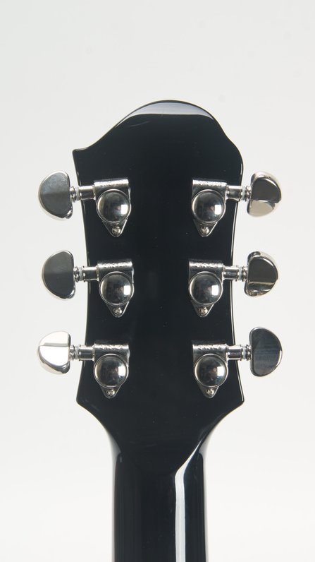 Teye Coyote (ca.2013) #12