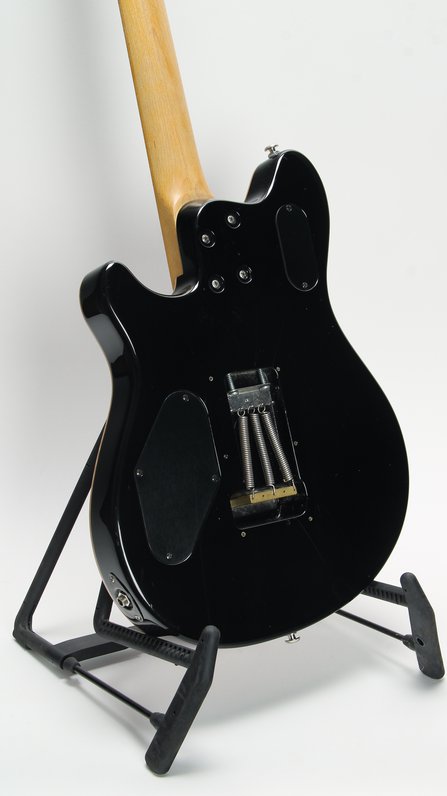 Peavey EVH Wolfgang Special #12
