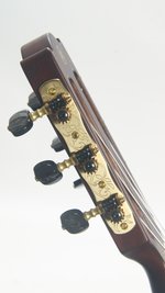 Yamaha NTX5 Classical (2024) (SKU: 32608) 32608