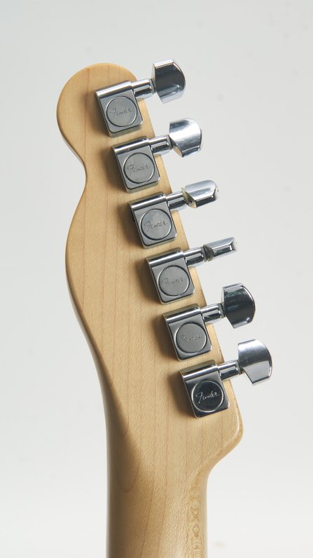 Fender Telecaster MIM w Waylon Leather (2007) #12