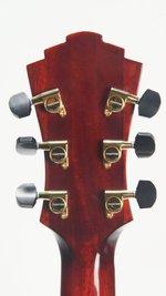 Eastman  John Pisano AR680CE (used, 2024) (SKU: 31479) 31479
