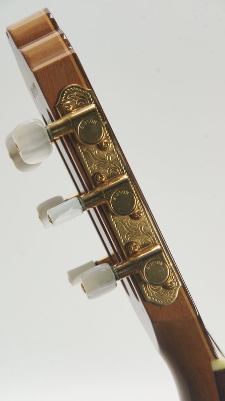 Gibson Chet Atkins Classic CEC (1989) #12