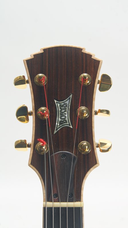 Roger Borys B120 Deluxe Archtop (2024) #13