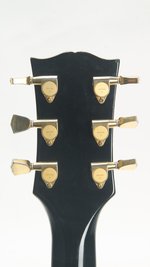 Burny RLC Sustainer (SKU: 32030) 32030