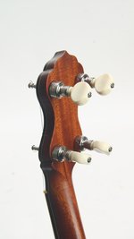 Kevin Enoch Fretless #143 (SKU: 31731) 31731
