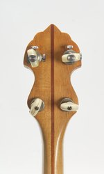 Vega Pete Seeger Longneck Custom (SKU: 32125) 32125