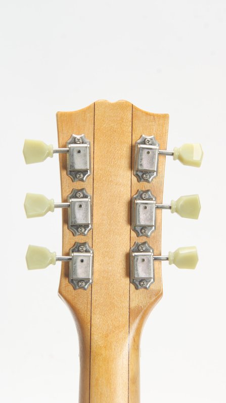 RC Kelly Legends of Folk Electric Archtop (Art) #14