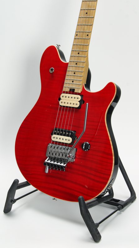 Peavey EVH Wolfgang Special #14