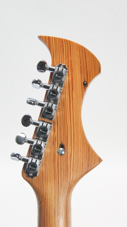 RC Kelly Turtle Electric Guitar (Art) #14