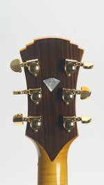 Roger Borys B120 Deluxe Archtop (2024) (SKU: 32615) 32615