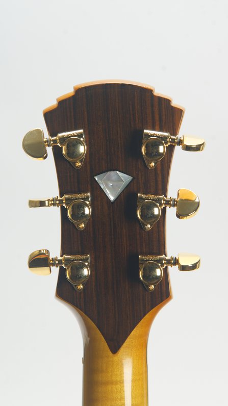 Roger Borys B120 Deluxe Archtop (2024) #14
