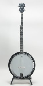 Washburn B-10A
