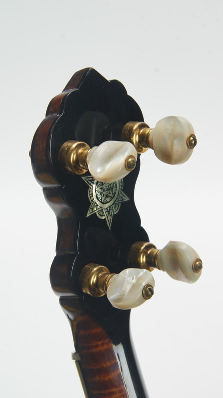 Vega Artist (Five String Conversion) #15