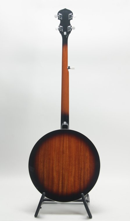 Washburn B-10A #2