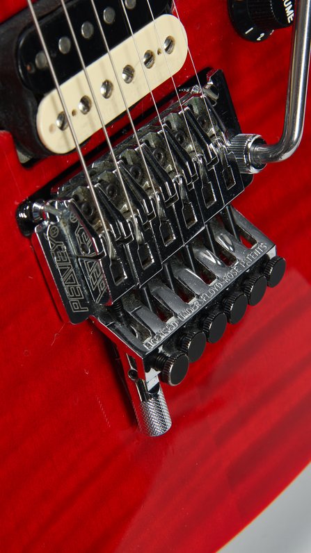 Peavey EVH Wolfgang Special #16