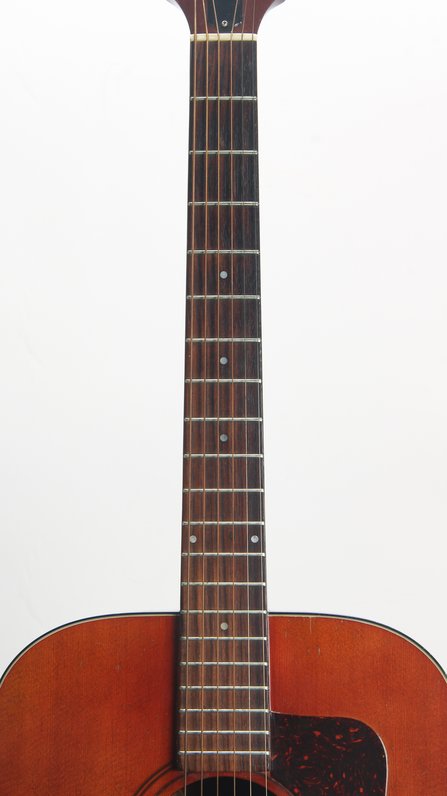 Guild D-25M (c.1974) #6