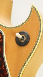 Ibanez 2455NT (ca.1976) (SKU: 32319) 32319