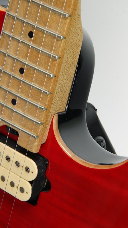 Peavey EVH Wolfgang Special #17