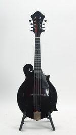 New Millennium Circle Strings Carbon Fiber Kevlar F Style Mandolin (2019) (SKU: 31043) 31043