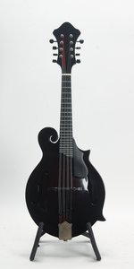 New Millennium Circle Strings Carbon Fiber Kevlar F Style Mandolin (2019)