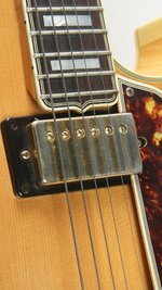 Ibanez 2455NT (ca.1976) (SKU: 32319) 32319