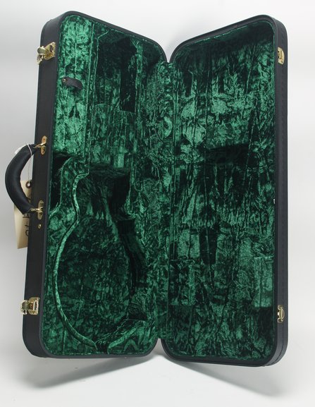 F Style Mandolin Hardshell Case #2