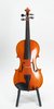 Eastman ML80 Student Violin Package (SKU: 30112) 30112