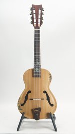 Bruce Wei Baritone 8 String (SKU: 32583) 32583