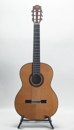 Cordoba C7 Cedar (new) (SKU: 32667) 32667