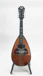 Vinaccia Bowlback Mandolin (SKU: 31900) 31900
