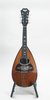 Vinaccia Bowlback Mandolin (SKU: 31900) 31900