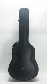 D'Andrea Dreadnaught Arched Top Case (SKU: 32433) 32433