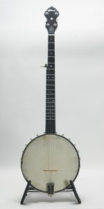 Wildwood Minstrel Custom